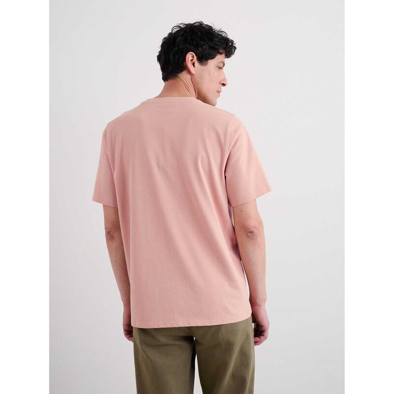 Seasalt Cornwall Merthen T-Shirt Pink Mallow image number 1